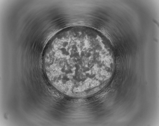 X0000097810879200804110948