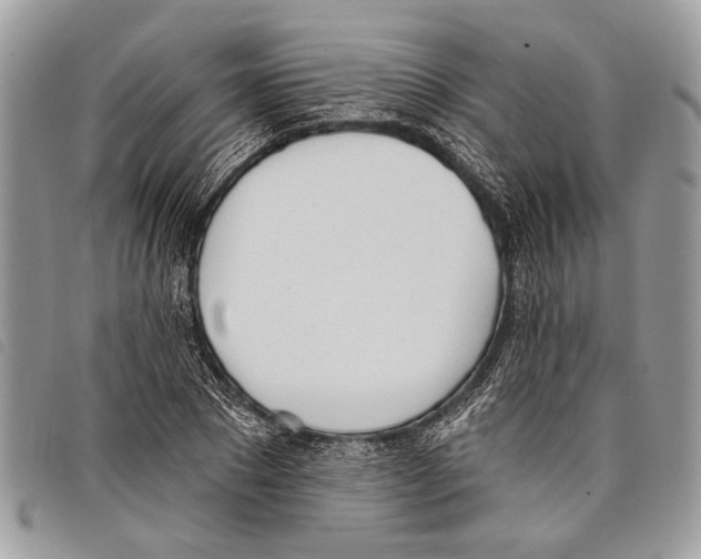 X0000097810881200804110948