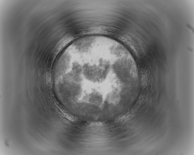 X0000097810882200804110948