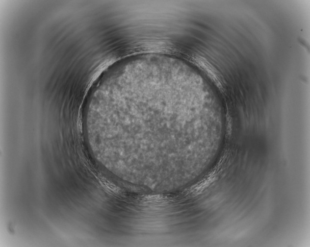 X0000097810883200804110948