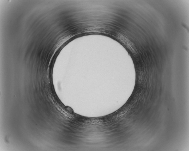 X0000097810884200804110948