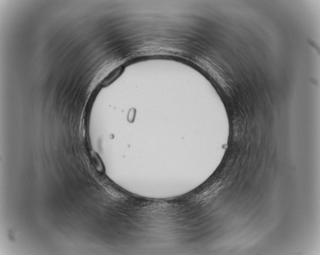 X0000097810885200804110948