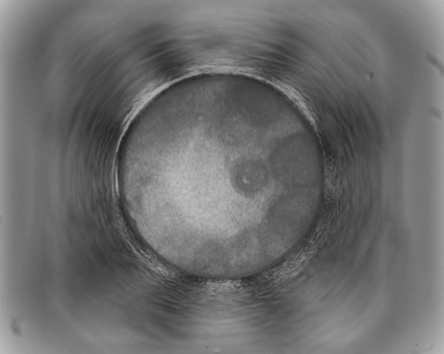 X0000097810887200804110948