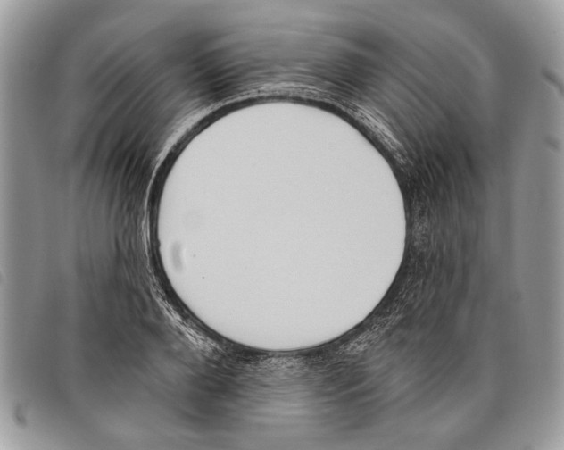 X0000097810888200804110948