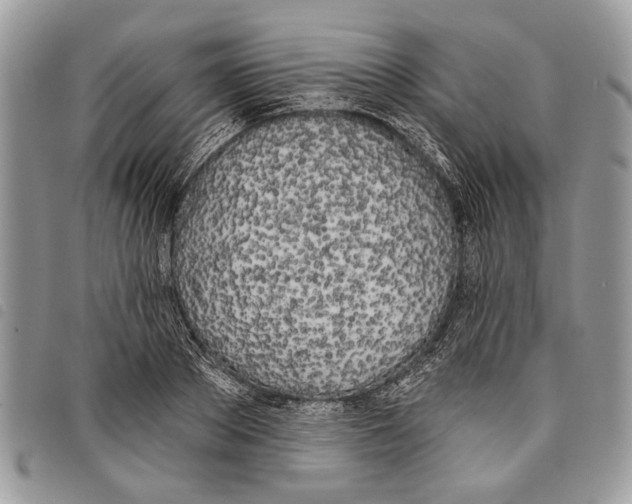 X0000097810889200804110948