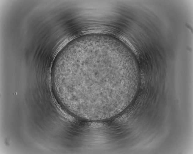 X0000097810890200804110947