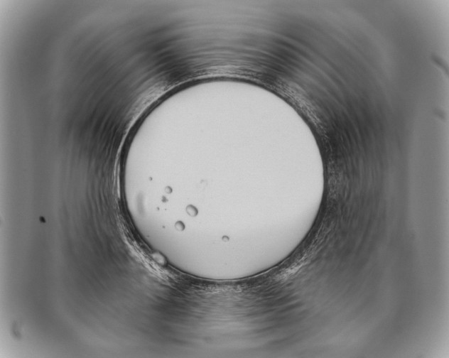 X0000097810892200804110947