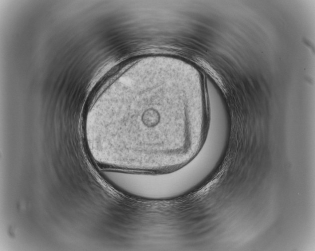 X0000097810893200804110947