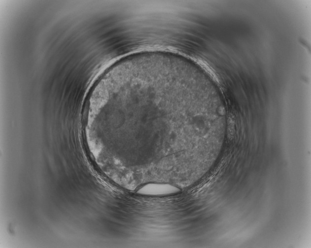 X0000097810895200804110947