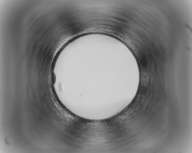 X0000097810896200804110947