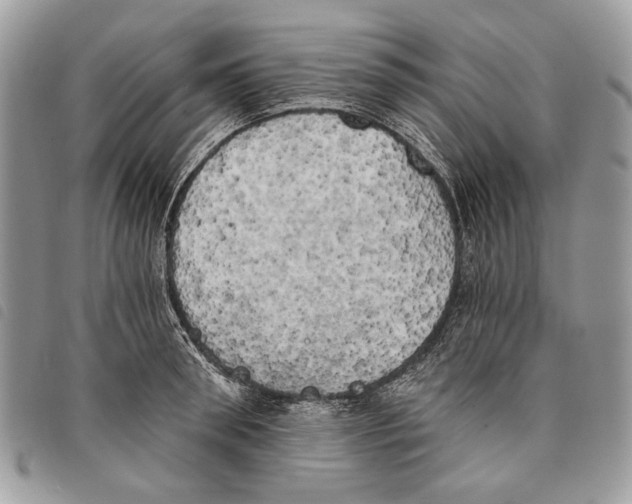 X0000097810898200804110947