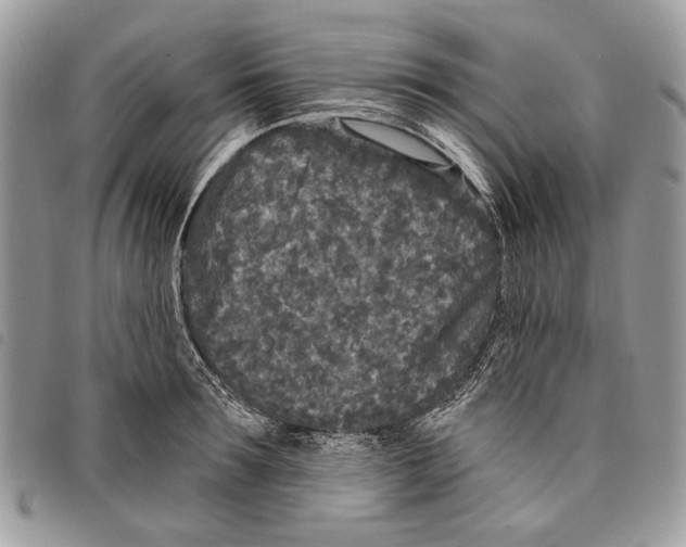 X0000097810899200804110947