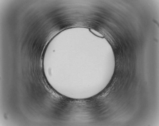 X0000097810900200804110947