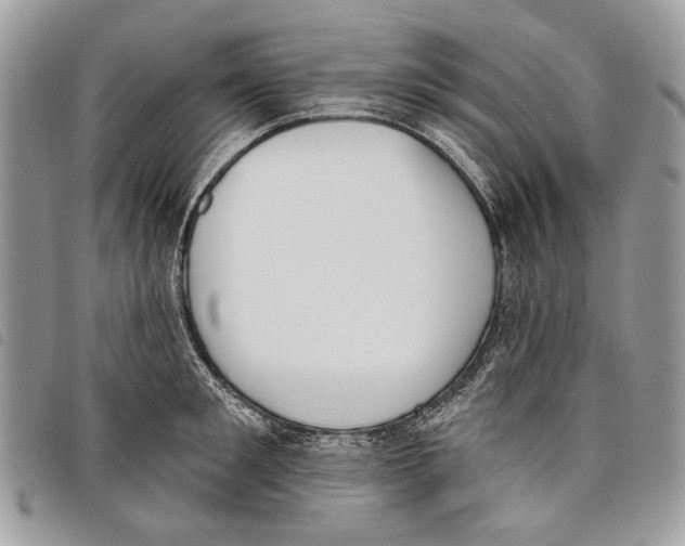 X0000097810901200804110947