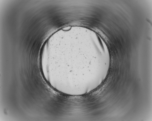 X0000097810902200804110947