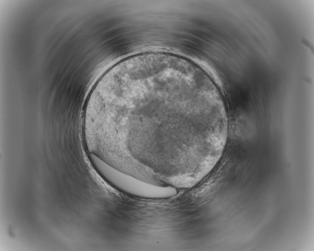 X0000097810903200804110947