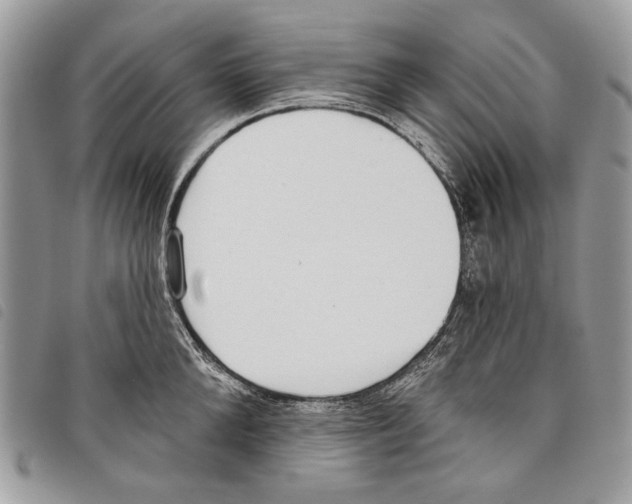 X0000097810904200804110947