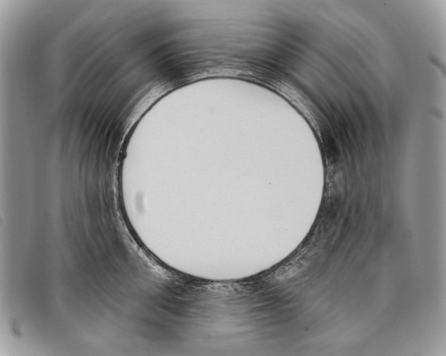 X0000097810906200804110947