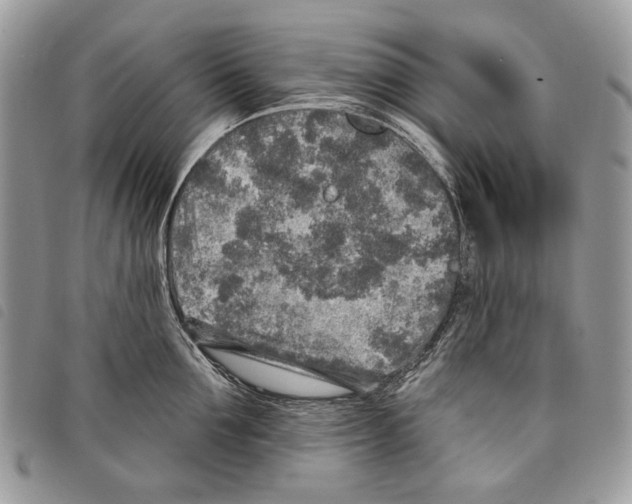 X0000097810907200804110947