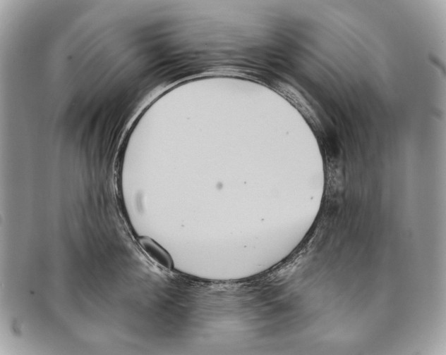 X0000097810908200804110947