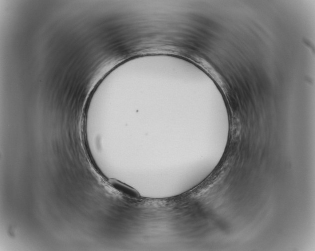 X0000097810909200804110947