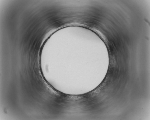 X0000097810910200804110947