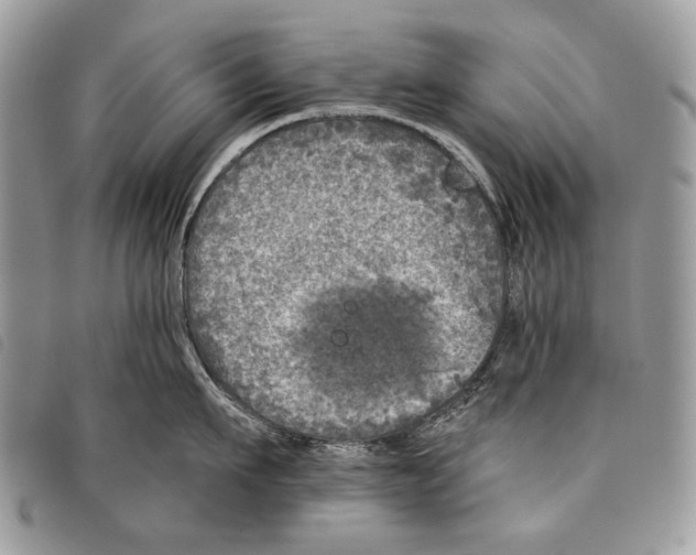 X0000097810911200804110947