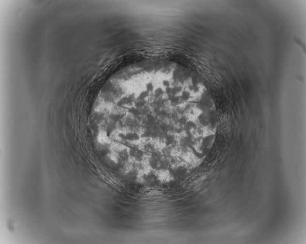 X0000097810913200804110946