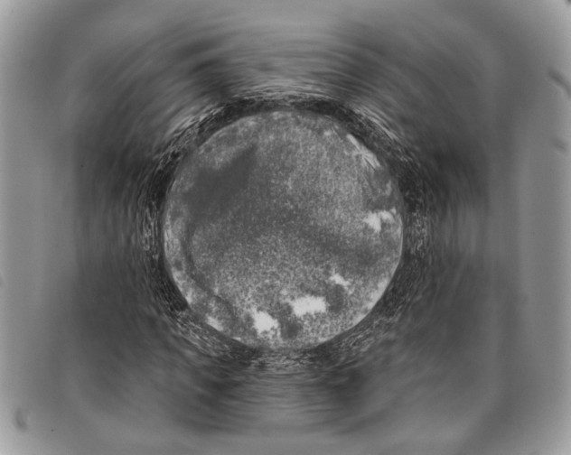 X0000097810917200804110946