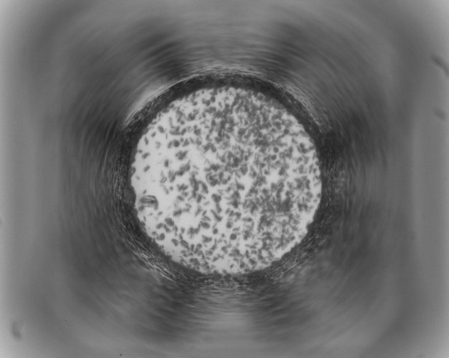 X0000097810919200804110946