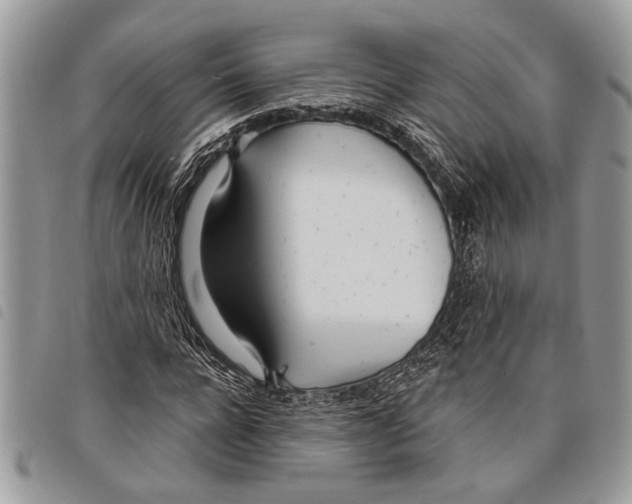 X0000097810920200804110946