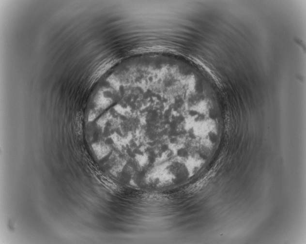 X0000097810921200804110946