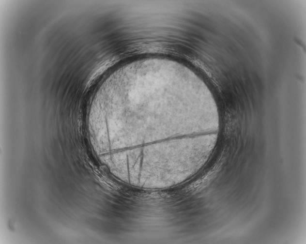 X0000097810922200804110946