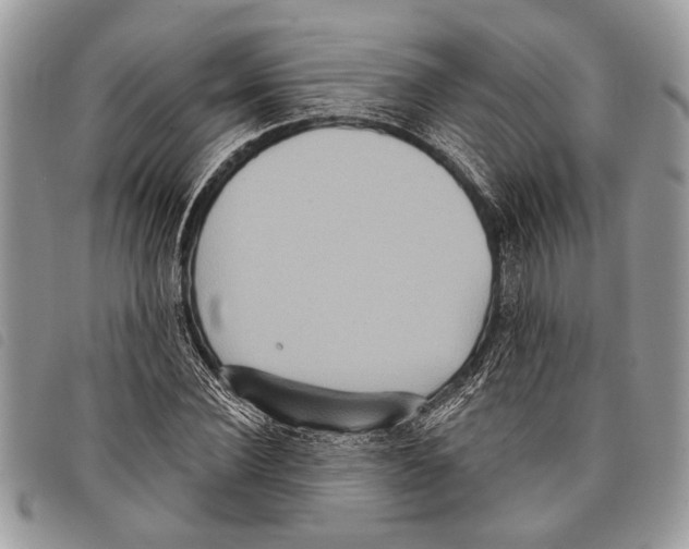 X0000097810924200804110946