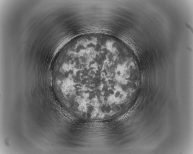 X0000097810925200804110946