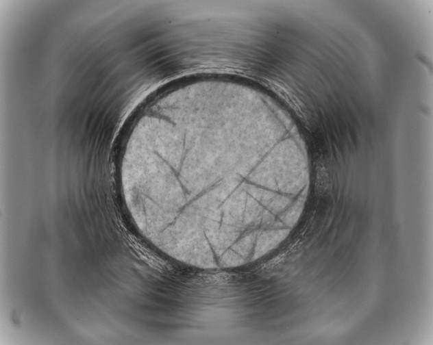 X0000097810926200804110946