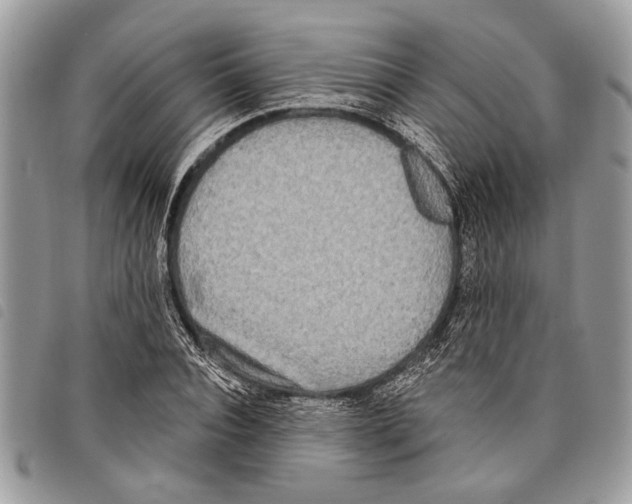 X0000097810928200804110946