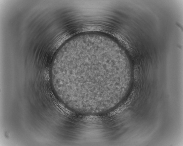 X0000097810929200804110946