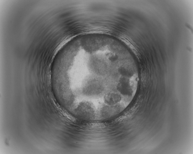 X0000097810933200804110946