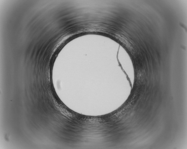 X0000097810934200804110946