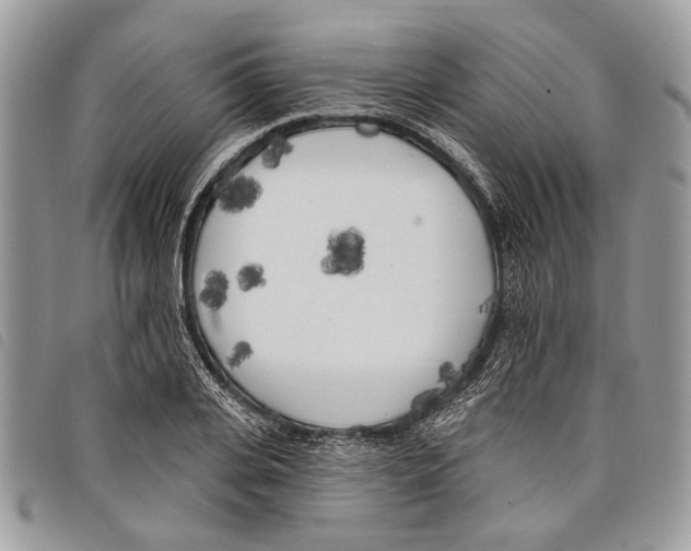 X0000097810935200804110946