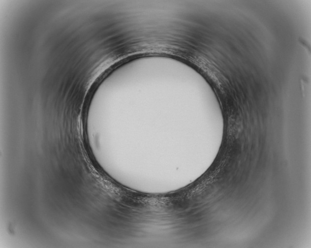 X0000097810936200804110947