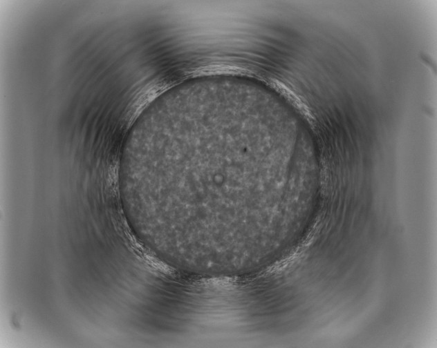 X0000097810937200804110947