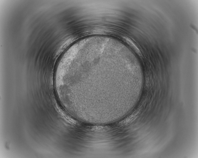 X0000097810938200804110947