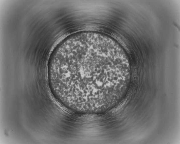 X0000097810939200804110947