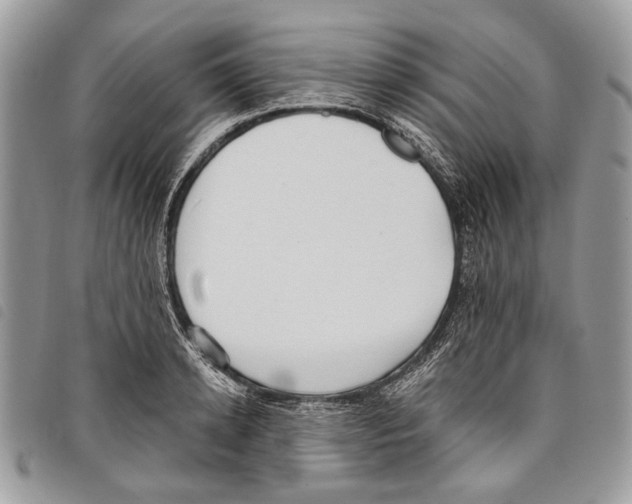 X0000097810942200804110947