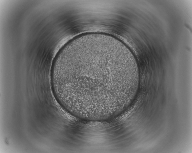 X0000097810943200804110947