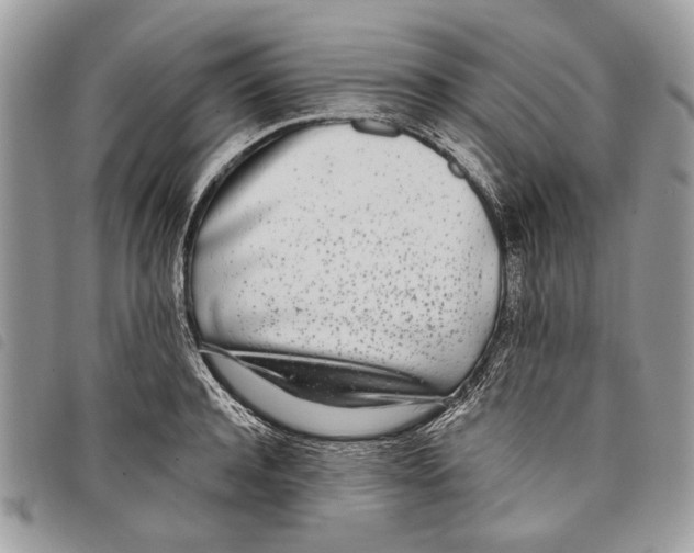 X0000097810944200804110947