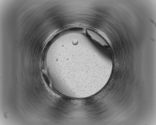 X0000097810946200804110947