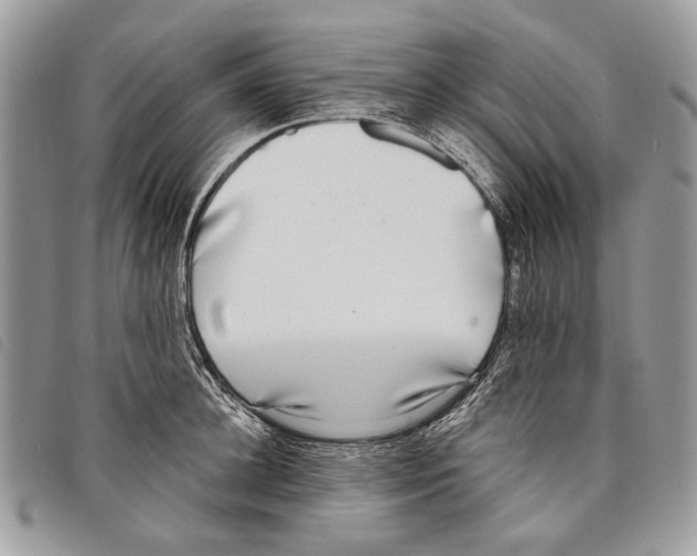 X0000097810948200804110947